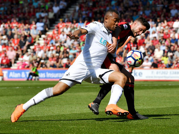 自己的足跡 自己的足跡